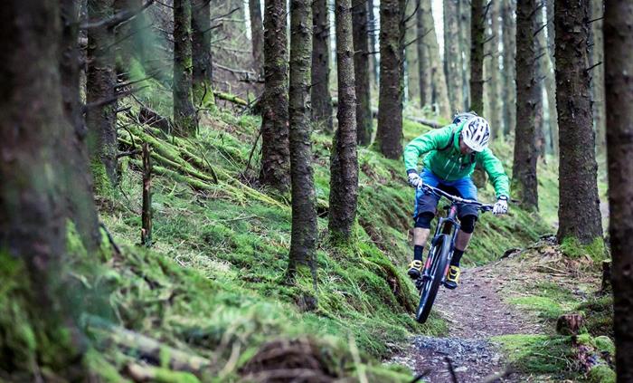 Nant yr Arian